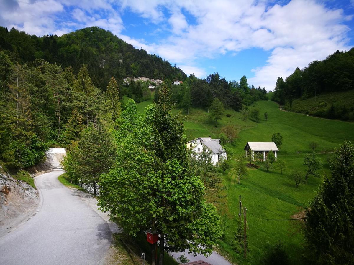 Apartma Teloh Kopacnica Exteriör bild